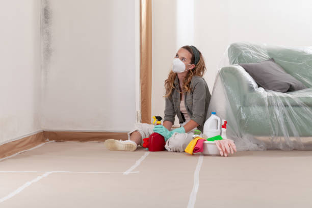 Reliable Mold Remediation contractor in Chevy Chase, MD by WQB Mold Removal